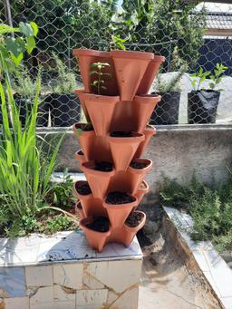 6 Tier + 4 Petal Vertical planter + Universal Wheel Tray0